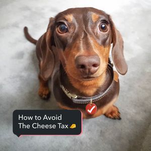 Image post by @turbotax on Instagram