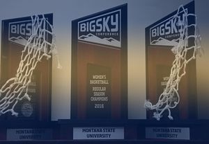 Image post by @msubobcatswbb on Instagram