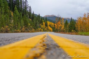 Image post by @chadzellmer on Instagram