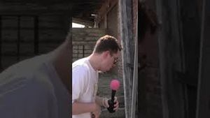 Video post by @memestudium on YouTube