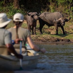 Image post by @chiawasafaris on Instagram