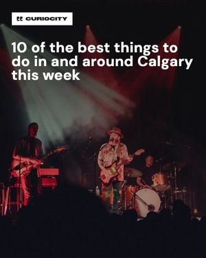 Image post by @curiocitycalgary on Instagram