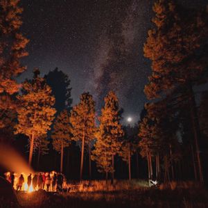 Image post by @nauflagstaff on Instagram