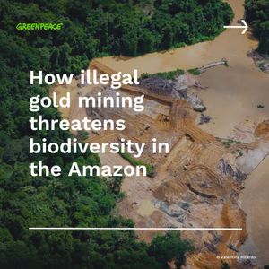 Image post by @greenpeace on Instagram