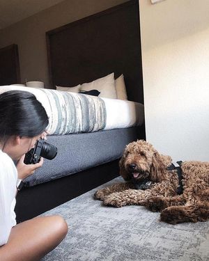 Image post by @bestwestern on Instagram