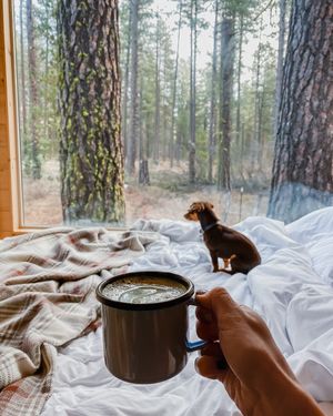 Image post by @getawayhouse on Instagram