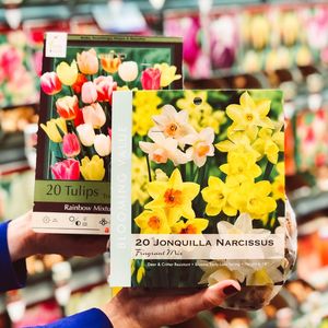 Image post by @shopbachmans on Instagram