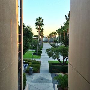 Image post by @asicsuf on Instagram