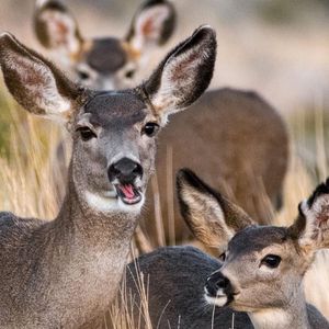 Image post by @nationalparkservice on Instagram