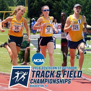 Image post by @cujackets on Instagram
