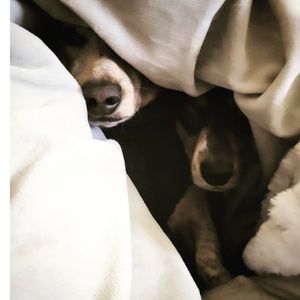 Image post by @hollysmee on Instagram