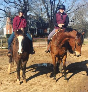 Image post by @appalachianequestrian on Instagram
