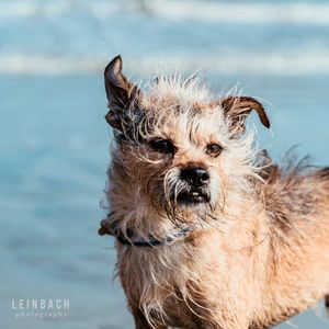 Image post by @leinbachphotography on Instagram