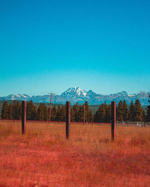 Image post by @7dreamvisuals on Instagram