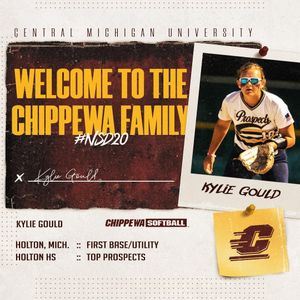 Image post by @cmichsoftball on Instagram