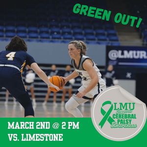 Image post by @lmurailsplitters on Instagram