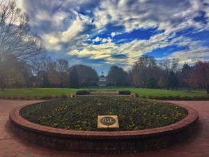 Image post by @elonuniversity on Instagram