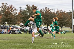 Image post by @lynnfernphotography on Instagram