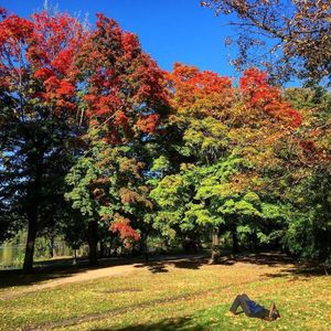 Image post by @nycmarathon on Instagram