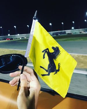 Image post by @ferrarilakeforest on Instagram
