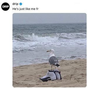 Image post by @drip on Instagram