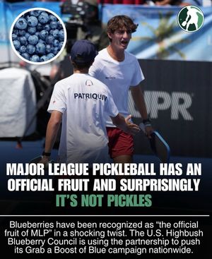 Image post by @thepickleballclinic on Instagram