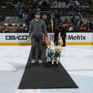 Image post by @sjbarracuda on Instagram