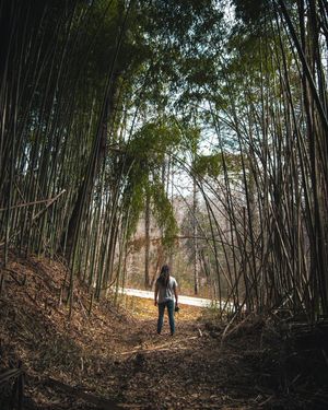 Image post by @aaronjohnsonmedia on Instagram