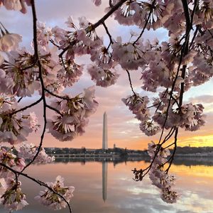 Image post by @nationalparkservice on Instagram