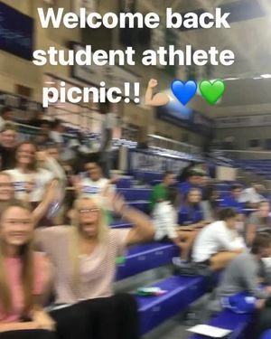 Image post by @fgcusoftball on Instagram