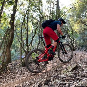 Image post by @bikerumor on Instagram