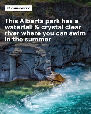Image post by @curiocitycalgary on Instagram