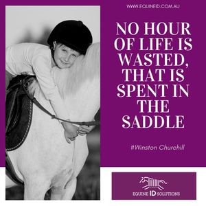 Image post by @equineidsolutions on Instagram
