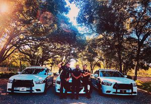 Image post by @palmbaypd on Instagram