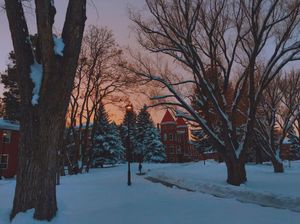Image post by @nauflagstaff on Instagram