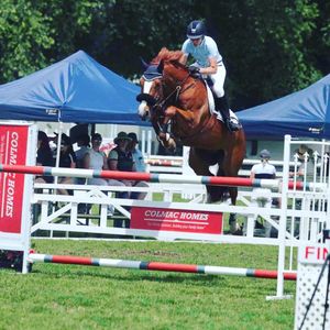 Image post by @snaffle_it on Instagram