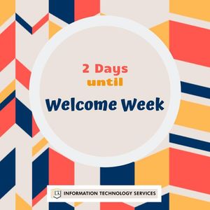Image post by @mycalstatela on Instagram