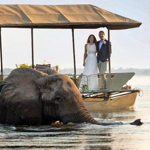 Image post by @chiawasafaris on Instagram