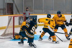 Image post by @windsormhky on Instagram