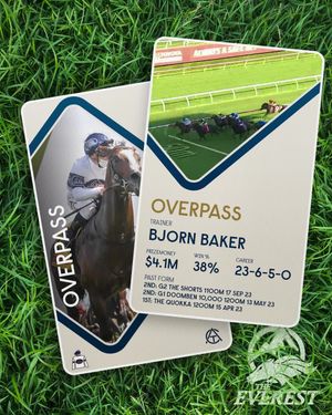 Image post by @australianturfclub on Instagram