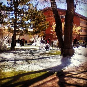 Image post by @nauflagstaff on Instagram