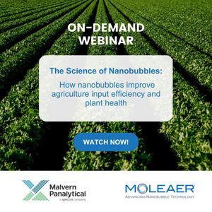 Image post by @moleaer on Instagram