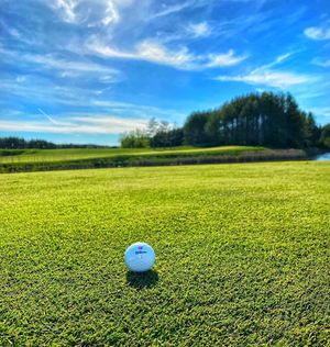 Image post by @wilsongolfcanada on Instagram