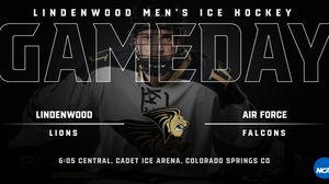 Image post by @luhockey_ncaa on Instagram