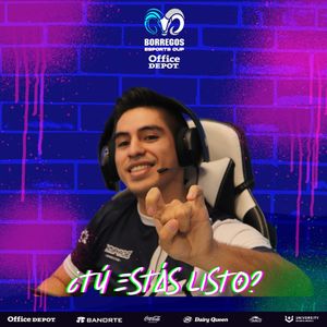 Image post by @borregosgaming on Instagram