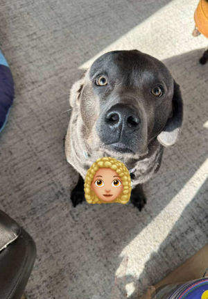 Video post by @hayleylewis_sports on TikTok