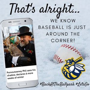 Image post by @burlington_bees on Instagram