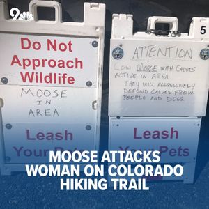 Image post by @9newsdenver on Instagram