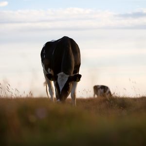 Image post by @arladairyuk on Instagram