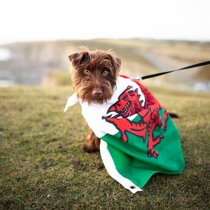 Image post by @welshgovernment on Instagram